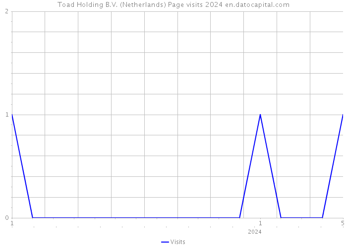 Toad Holding B.V. (Netherlands) Page visits 2024 