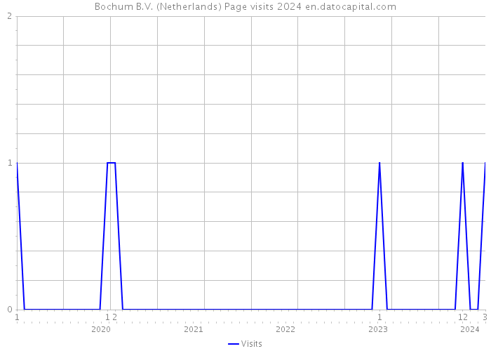 Bochum B.V. (Netherlands) Page visits 2024 