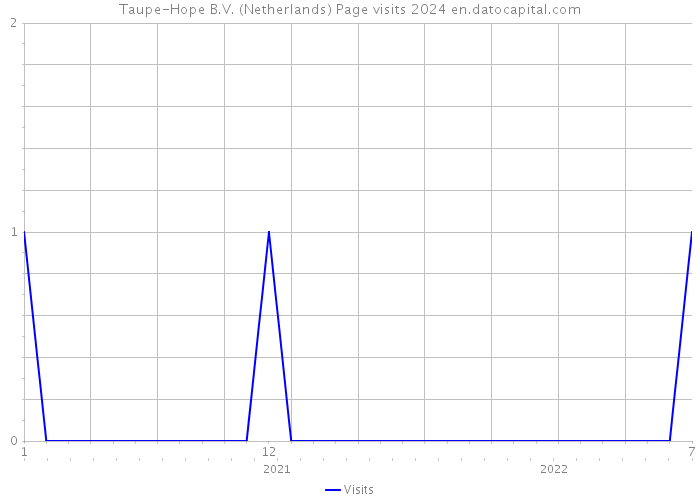 Taupe-Hope B.V. (Netherlands) Page visits 2024 