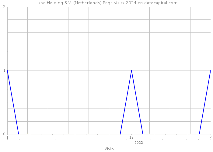 Lupa Holding B.V. (Netherlands) Page visits 2024 
