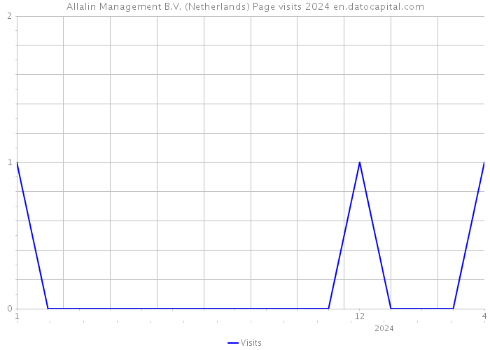 Allalin Management B.V. (Netherlands) Page visits 2024 