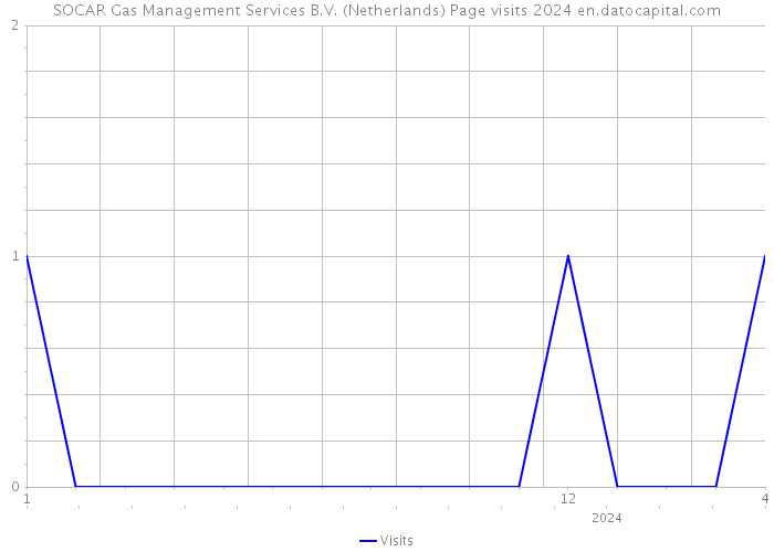 SOCAR Gas Management Services B.V. (Netherlands) Page visits 2024 
