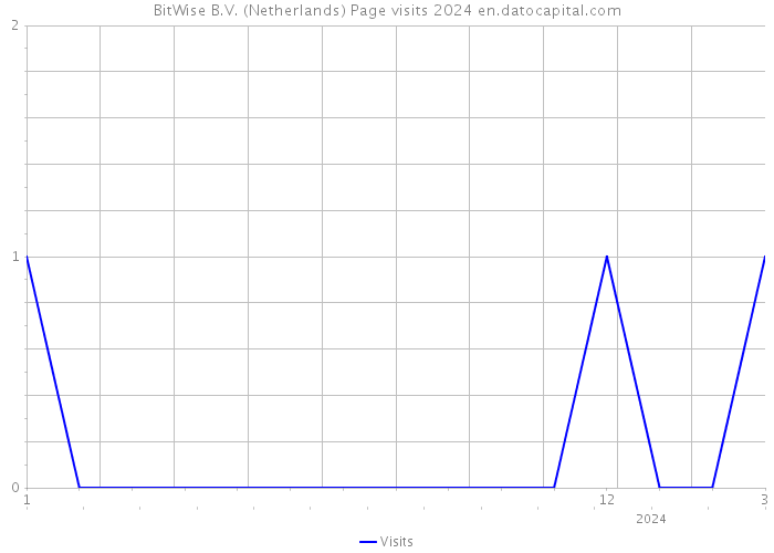 BitWise B.V. (Netherlands) Page visits 2024 