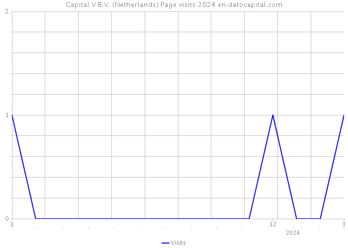Capital V B.V. (Netherlands) Page visits 2024 
