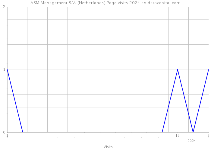 ASM Management B.V. (Netherlands) Page visits 2024 