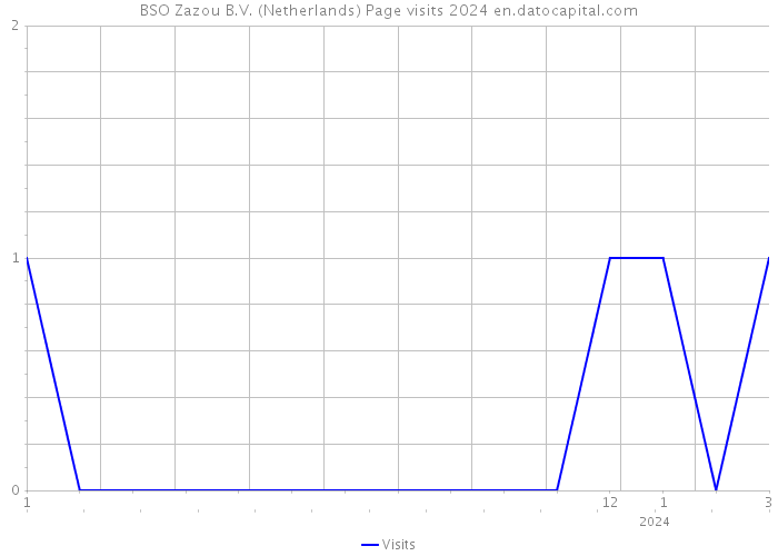 BSO Zazou B.V. (Netherlands) Page visits 2024 
