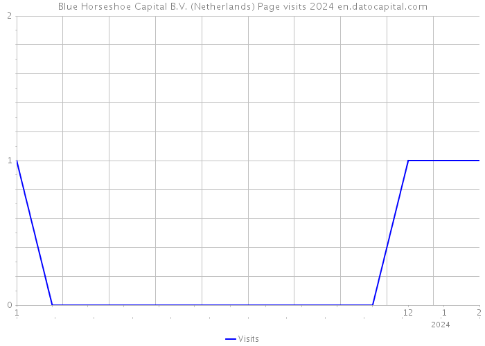 Blue Horseshoe Capital B.V. (Netherlands) Page visits 2024 