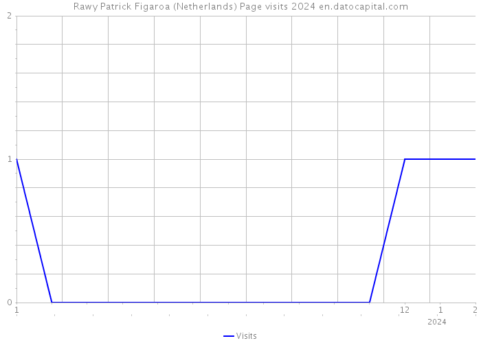 Rawy Patrick Figaroa (Netherlands) Page visits 2024 