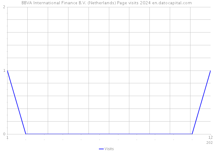 BBVA International Finance B.V. (Netherlands) Page visits 2024 