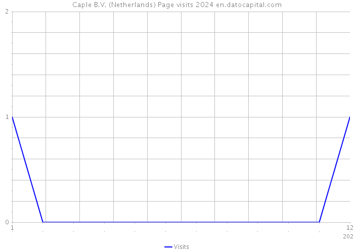 Caple B.V. (Netherlands) Page visits 2024 