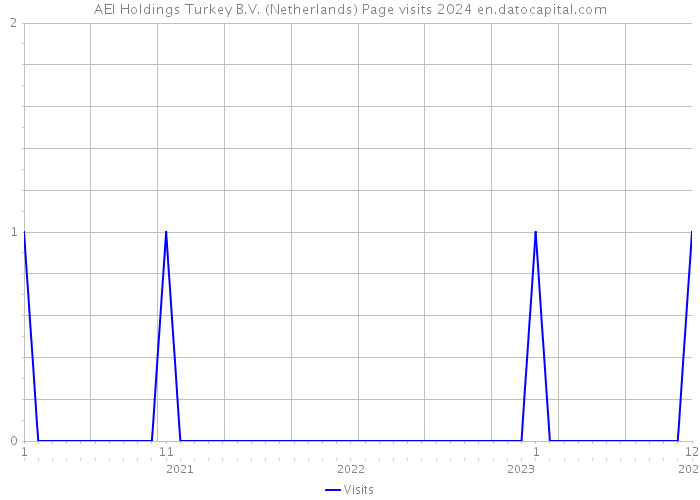 AEI Holdings Turkey B.V. (Netherlands) Page visits 2024 