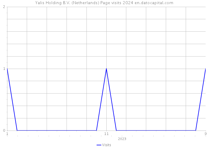 Yalis Holding B.V. (Netherlands) Page visits 2024 
