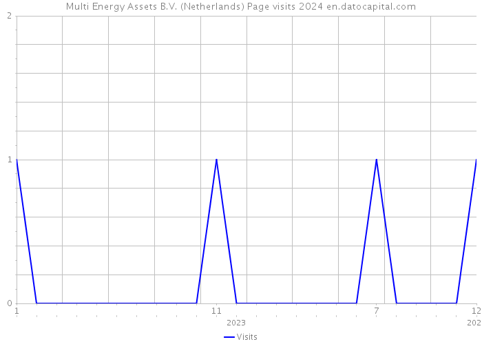 Multi Energy Assets B.V. (Netherlands) Page visits 2024 