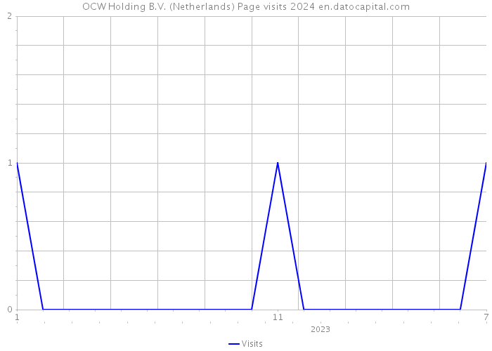 OCW Holding B.V. (Netherlands) Page visits 2024 