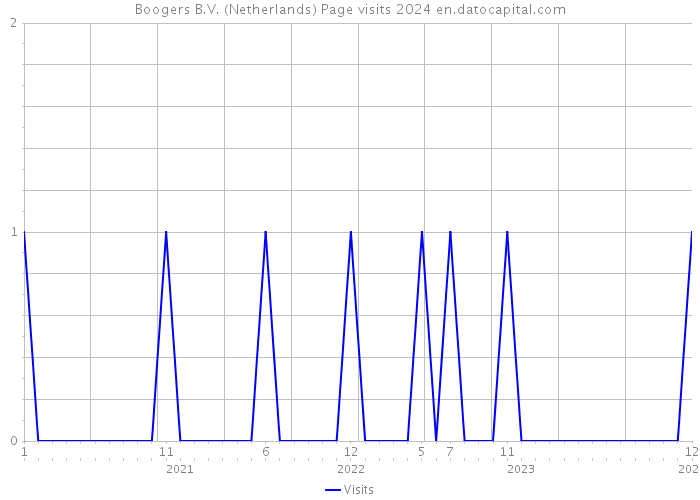 Boogers B.V. (Netherlands) Page visits 2024 