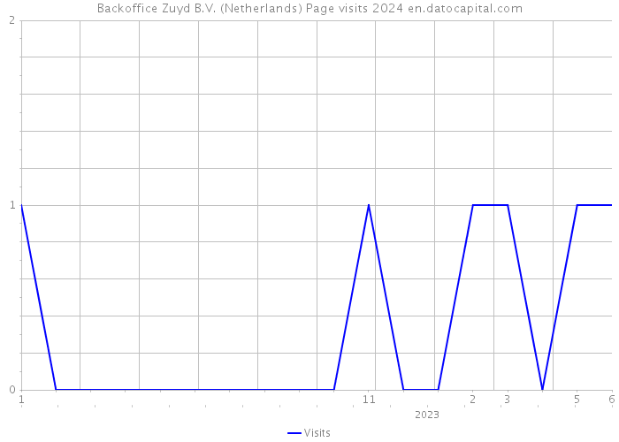 Backoffice Zuyd B.V. (Netherlands) Page visits 2024 