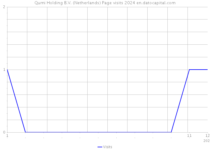 Qumi Holding B.V. (Netherlands) Page visits 2024 