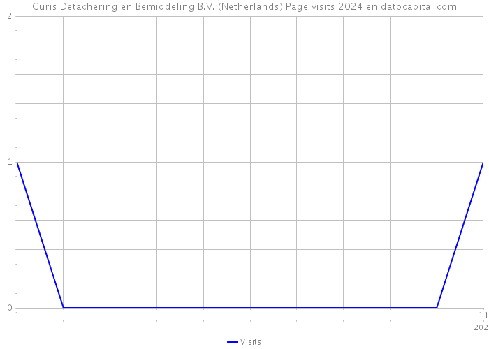 Curis Detachering en Bemiddeling B.V. (Netherlands) Page visits 2024 