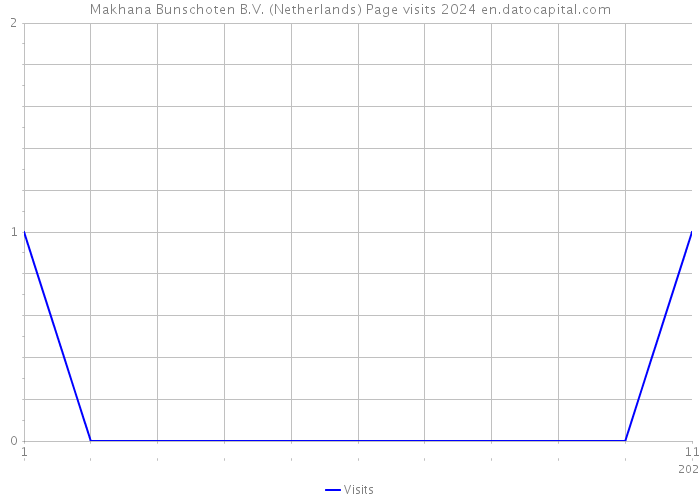 Makhana Bunschoten B.V. (Netherlands) Page visits 2024 