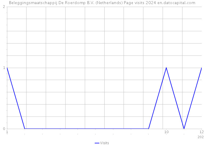 Beleggingsmaatschappij De Roerdomp B.V. (Netherlands) Page visits 2024 
