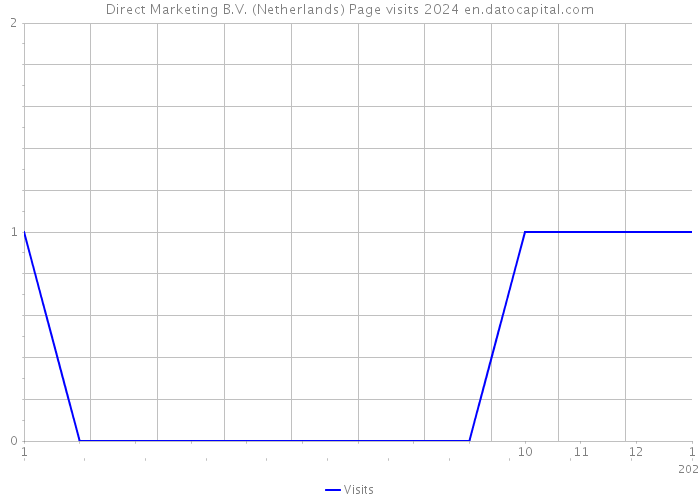 Direct Marketing B.V. (Netherlands) Page visits 2024 
