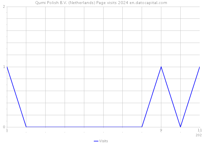 Qumi Polish B.V. (Netherlands) Page visits 2024 