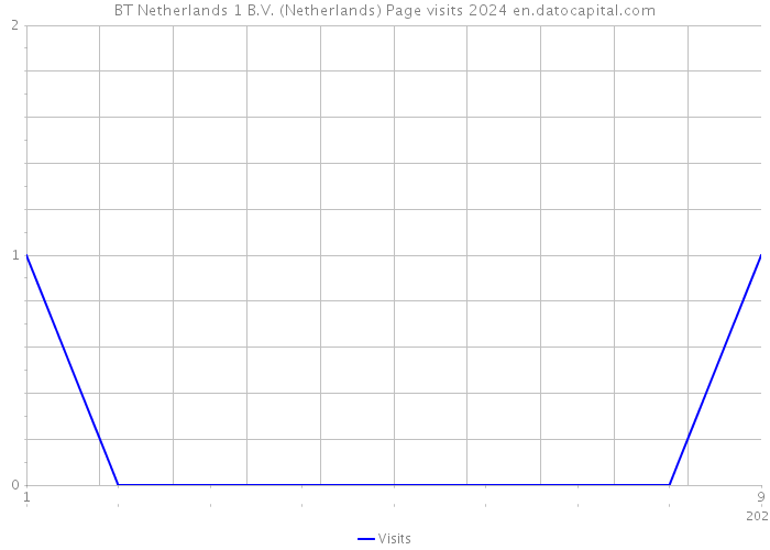 BT Netherlands 1 B.V. (Netherlands) Page visits 2024 