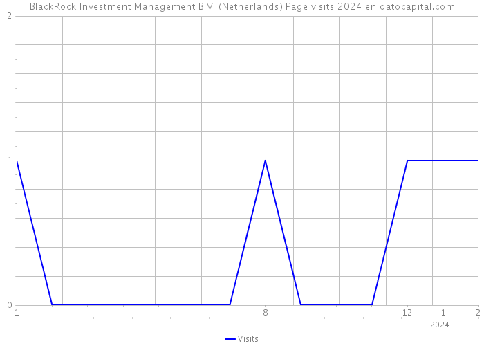 BlackRock Investment Management B.V. (Netherlands) Page visits 2024 