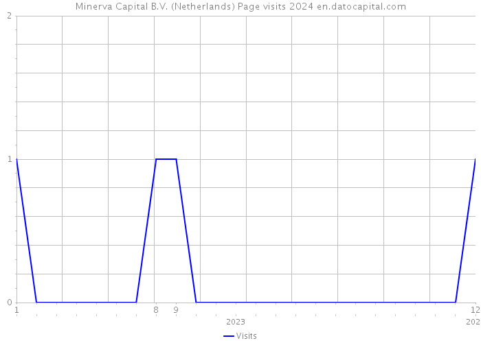 Minerva Capital B.V. (Netherlands) Page visits 2024 