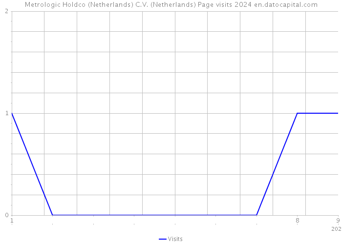 Metrologic Holdco (Netherlands) C.V. (Netherlands) Page visits 2024 