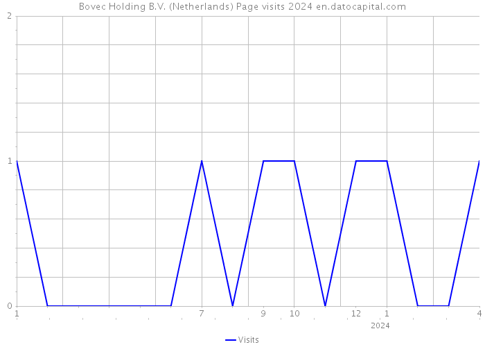 Bovec Holding B.V. (Netherlands) Page visits 2024 