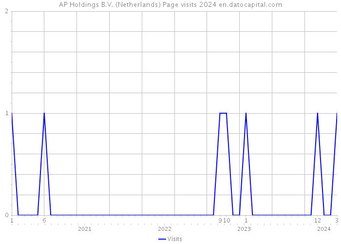 AP Holdings B.V. (Netherlands) Page visits 2024 