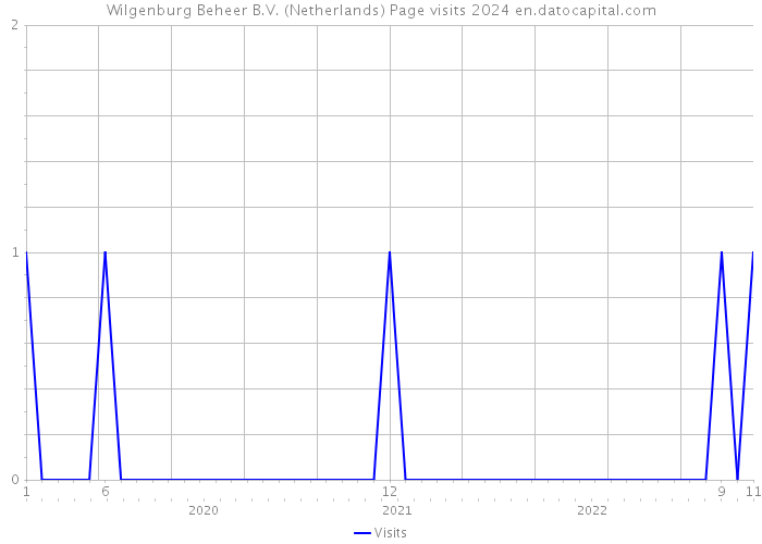 Wilgenburg Beheer B.V. (Netherlands) Page visits 2024 