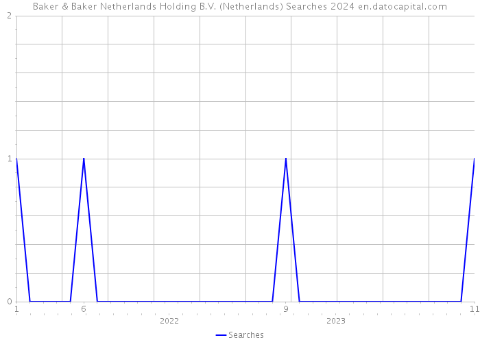 Baker & Baker Netherlands Holding B.V. (Netherlands) Searches 2024 