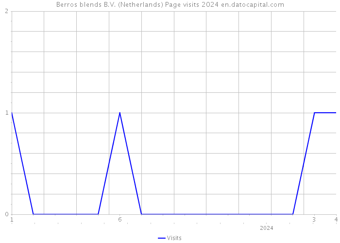 Berros blends B.V. (Netherlands) Page visits 2024 