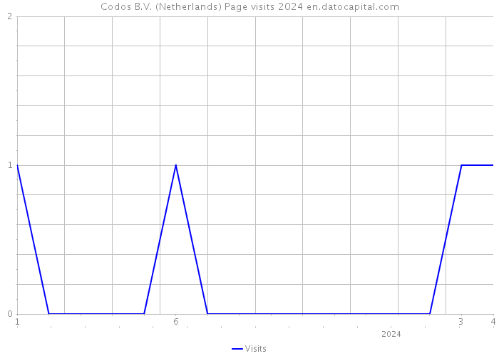 Codos B.V. (Netherlands) Page visits 2024 