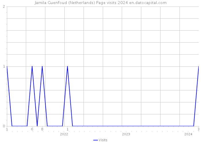 Jamila Guenfoud (Netherlands) Page visits 2024 