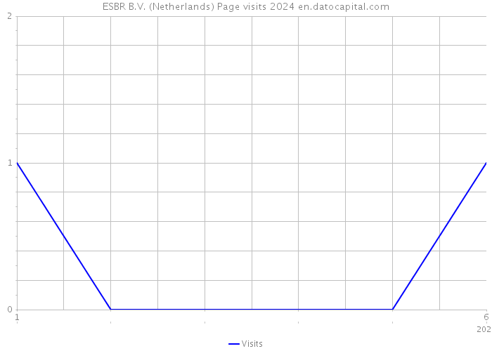 ESBR B.V. (Netherlands) Page visits 2024 
