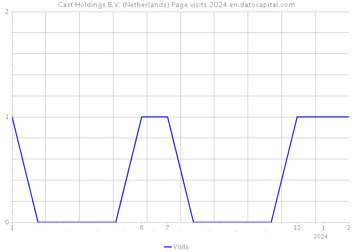 Cast Holdings B.V. (Netherlands) Page visits 2024 