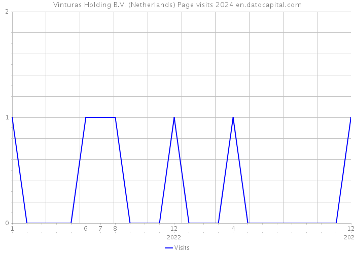 Vinturas Holding B.V. (Netherlands) Page visits 2024 
