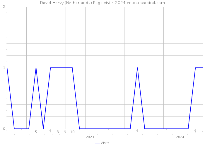 David Hervy (Netherlands) Page visits 2024 