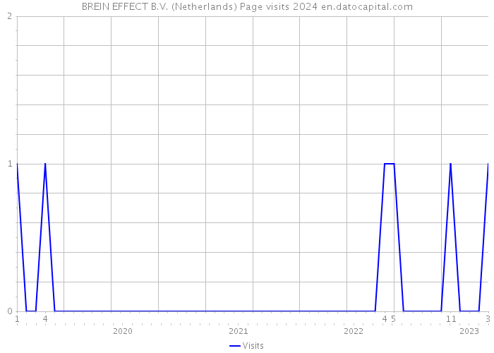 BREIN EFFECT B.V. (Netherlands) Page visits 2024 