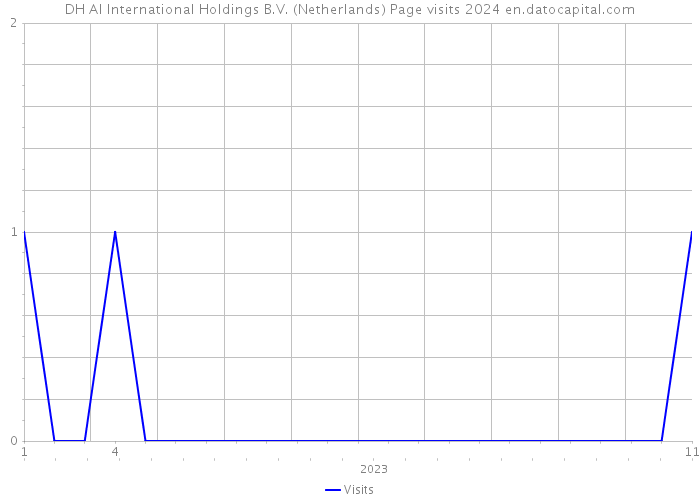 DH AI International Holdings B.V. (Netherlands) Page visits 2024 