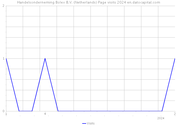 Handelsonderneming Bolex B.V. (Netherlands) Page visits 2024 
