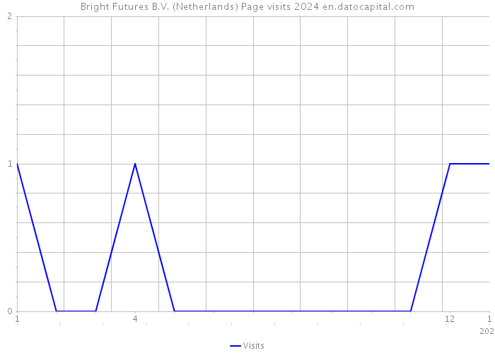 Bright Futures B.V. (Netherlands) Page visits 2024 