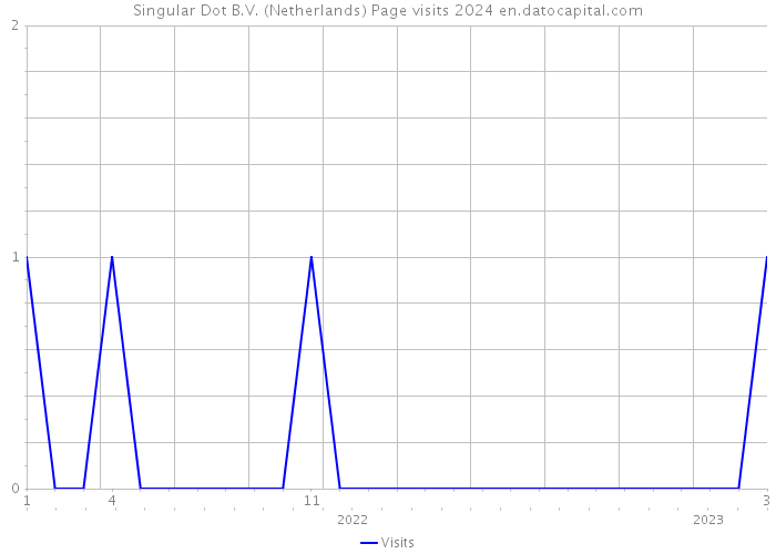 Singular Dot B.V. (Netherlands) Page visits 2024 