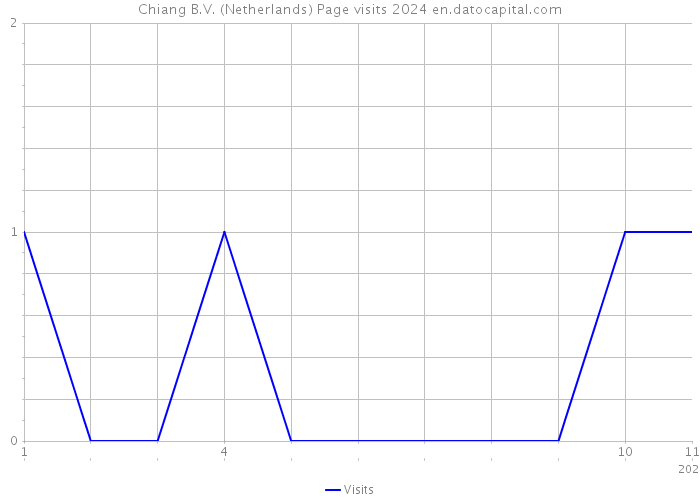 Chiang B.V. (Netherlands) Page visits 2024 