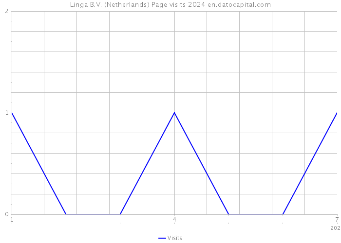 Linga B.V. (Netherlands) Page visits 2024 