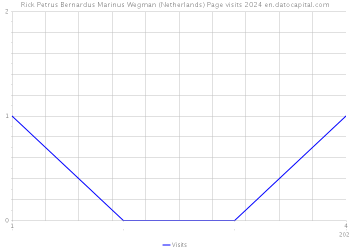 Rick Petrus Bernardus Marinus Wegman (Netherlands) Page visits 2024 