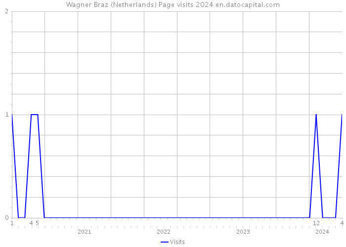 Wagner Braz (Netherlands) Page visits 2024 